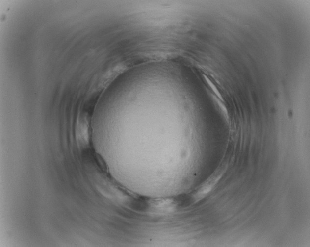 X0000074290334200609151923