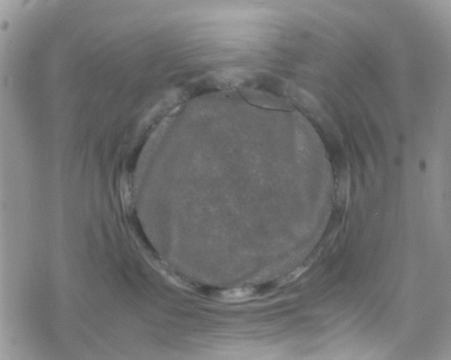 X0000074290335200609151923