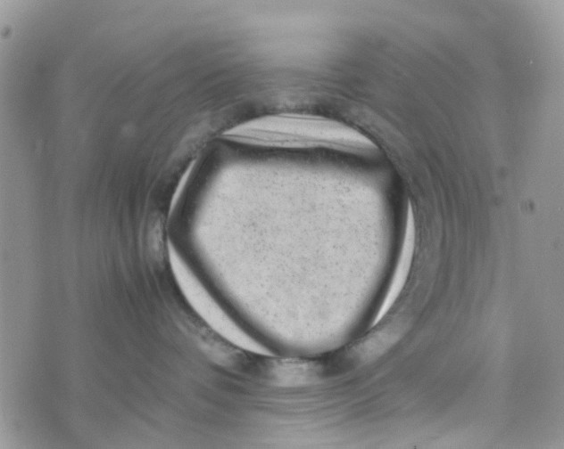 X0000074290336200609151923