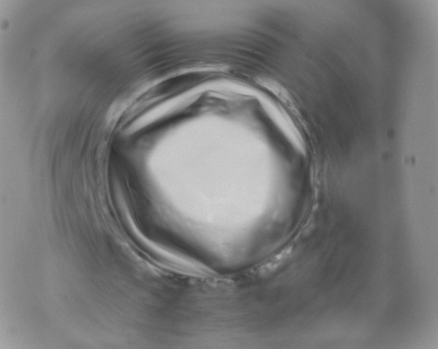 X0000074290337200609151922