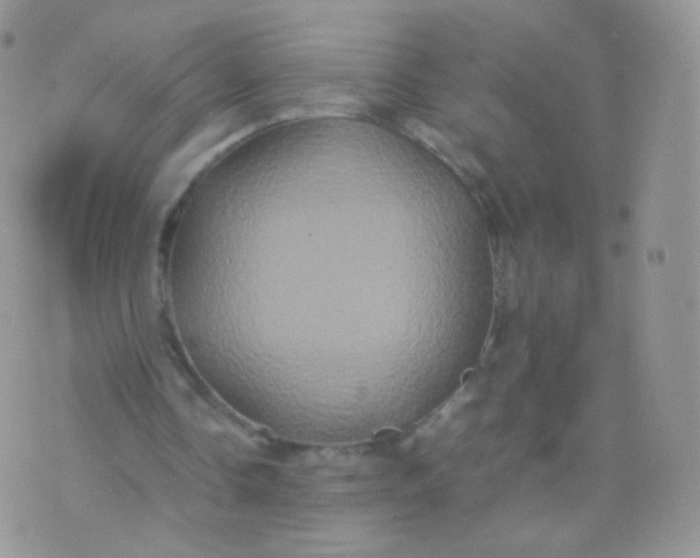 X0000074290338200609151922