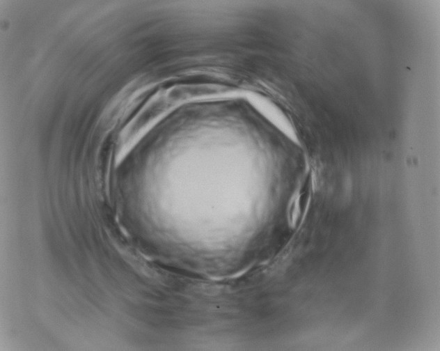 X0000074290339200609151922