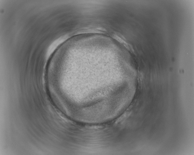 X0000074290340200609151922