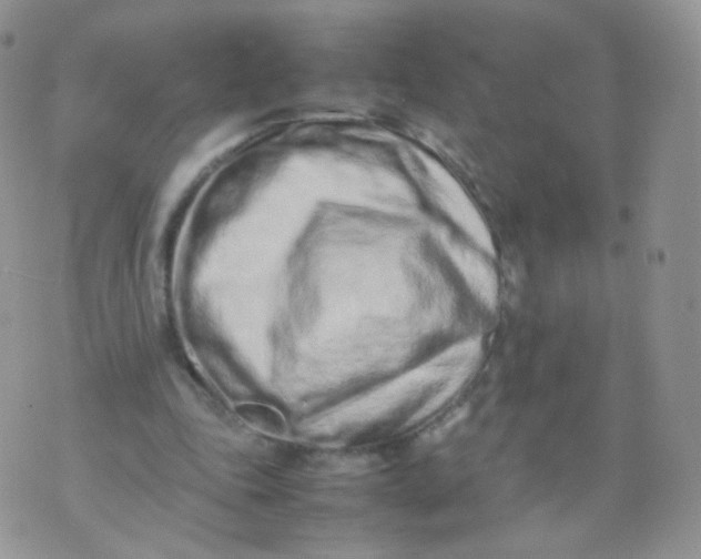 X0000074290343200609151922