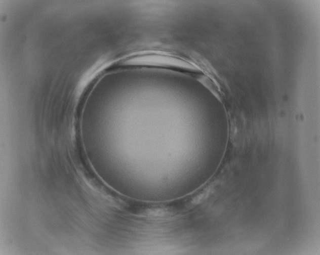 X0000074290344200609151922