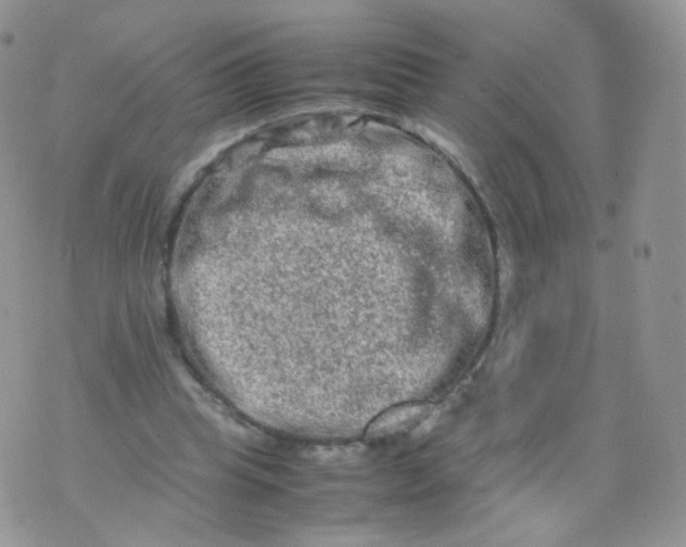 X0000074290345200609151922