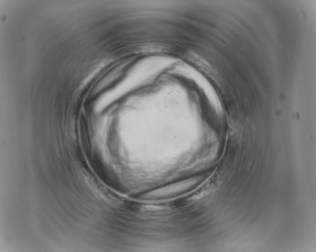 X0000074290347200609151922