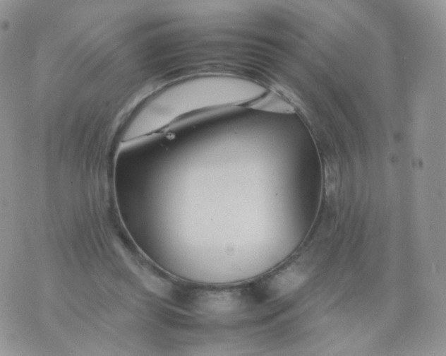 X0000074290349200609151922