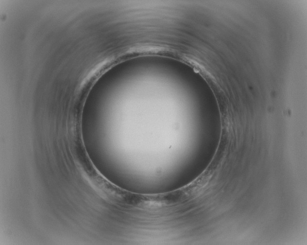 X0000074290352200609151922