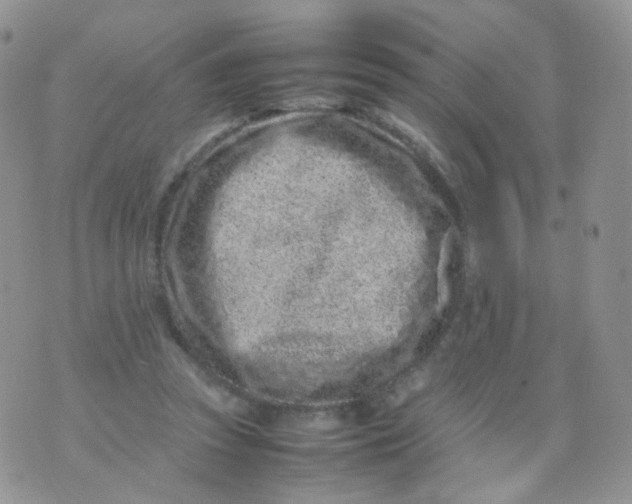 X0000074290353200609151922