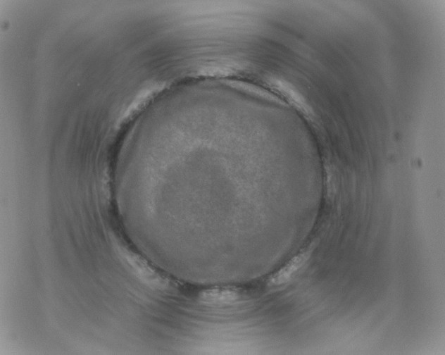 X0000074290354200609151922