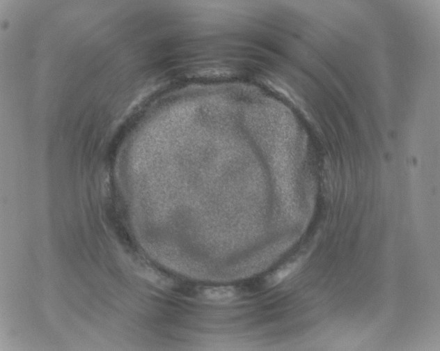 X0000074290355200609151922