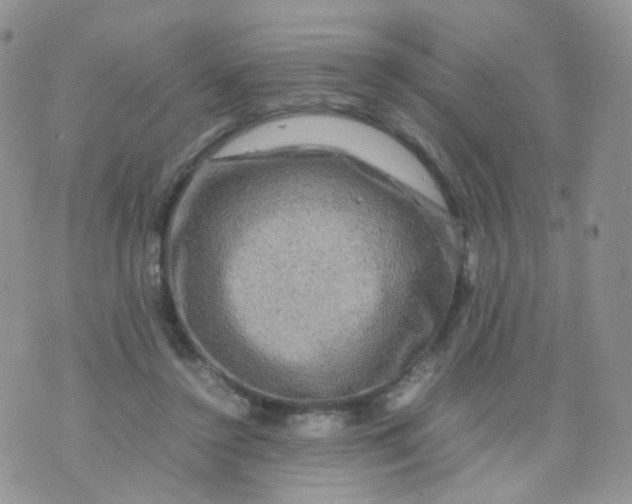 X0000074290356200609151923