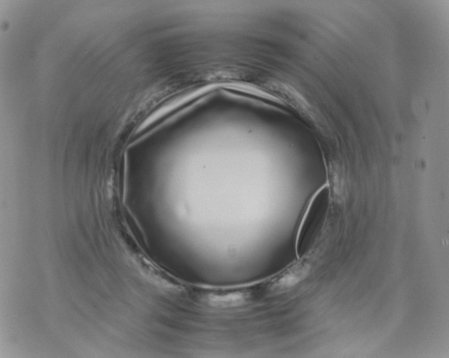 X0000074290357200609151923