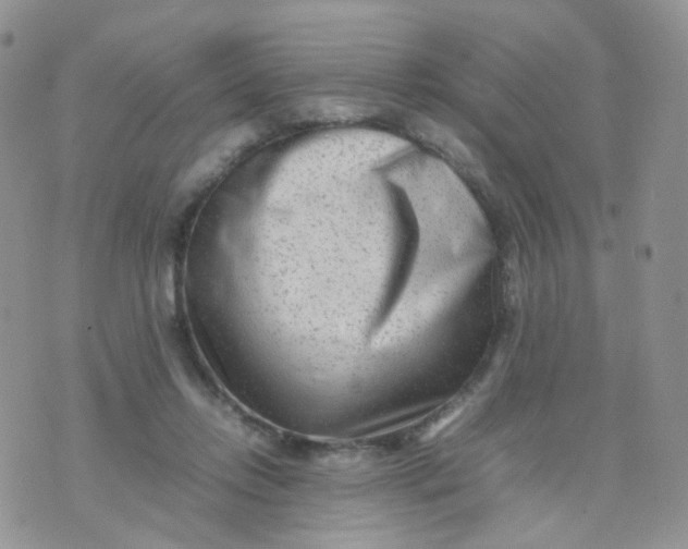 X0000074290358200609151923