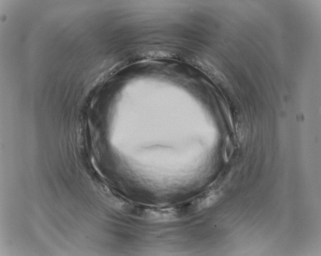 X0000074290359200609151923