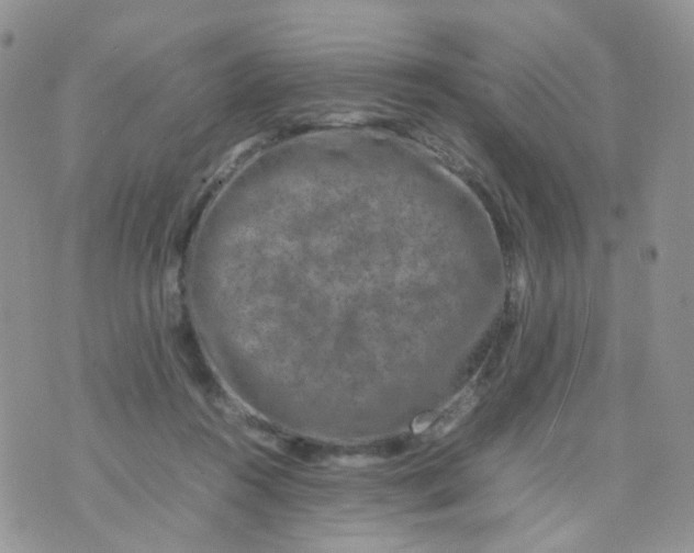 X0000074290360200609151923