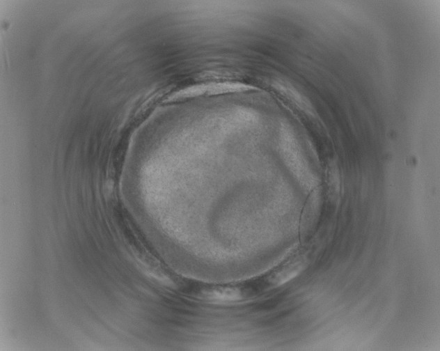 X0000074290361200609151923