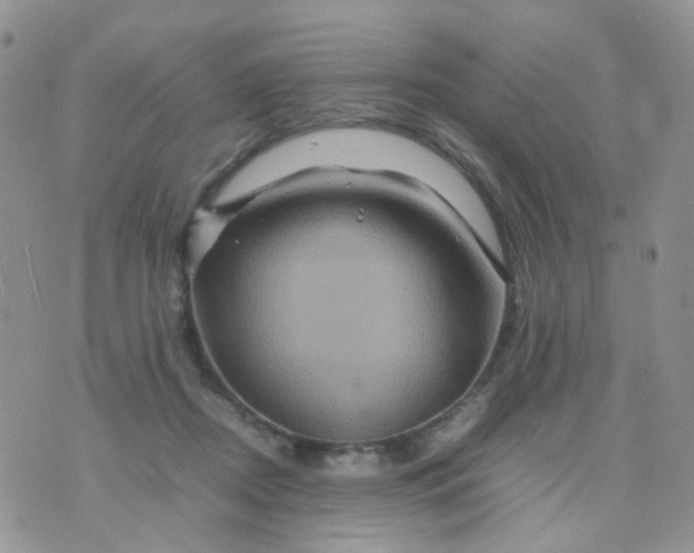 X0000074290362200609151923