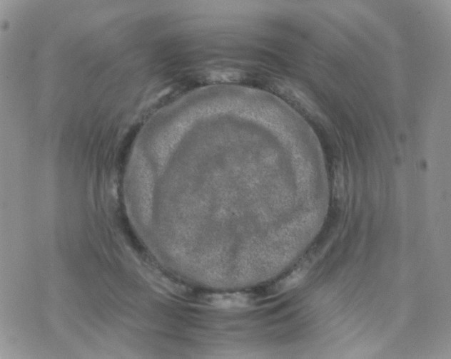 X0000074290363200609151923