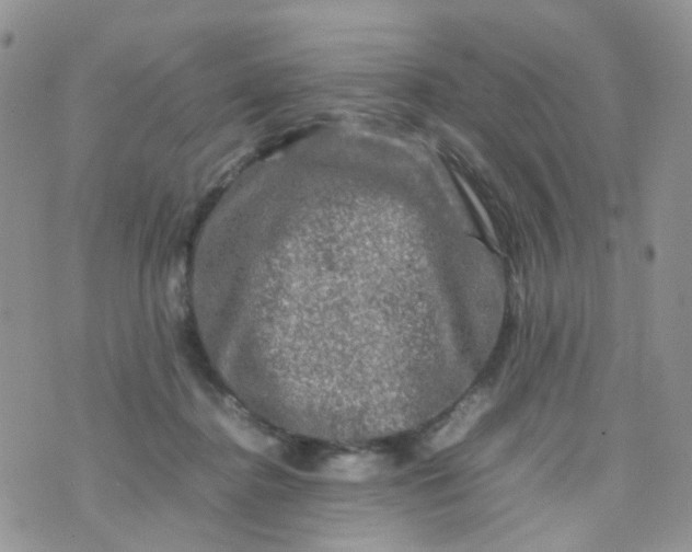 X0000074290364200609151923