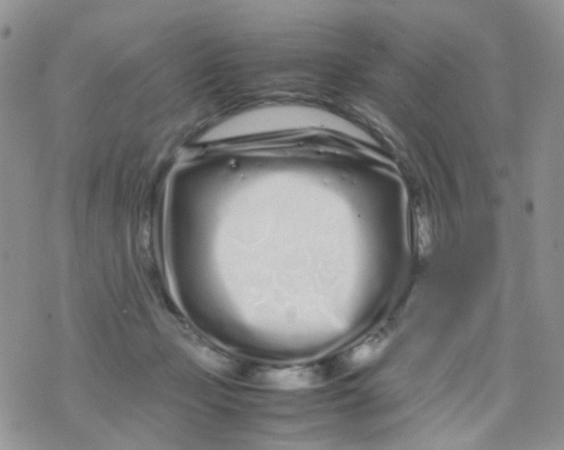 X0000074290365200609151923