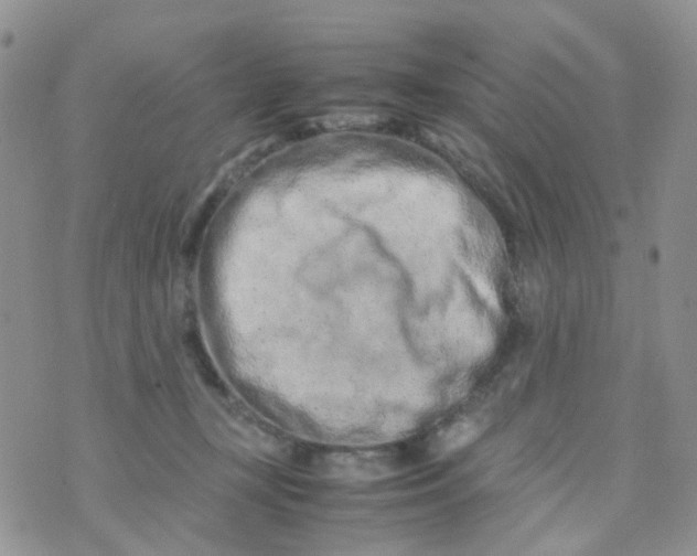 X0000074290367200609151923