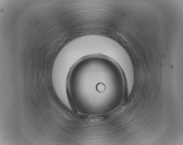 X0000074290368200609151923