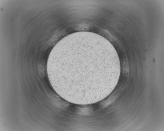 X0000074290370200609151923