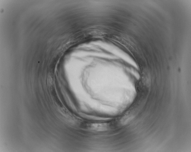 X0000074290371200609151923