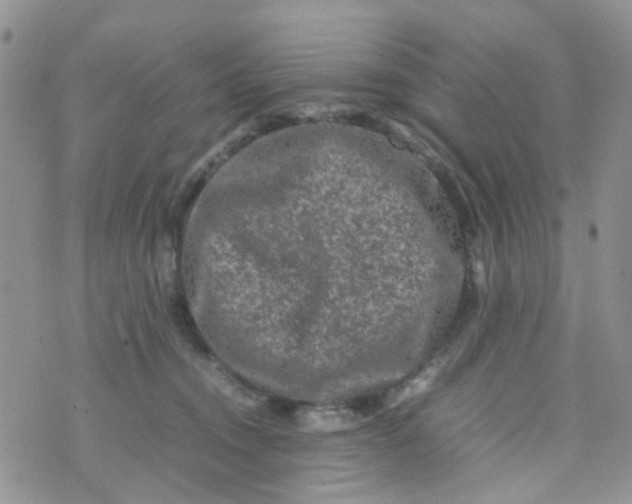 X0000074290372200609151923