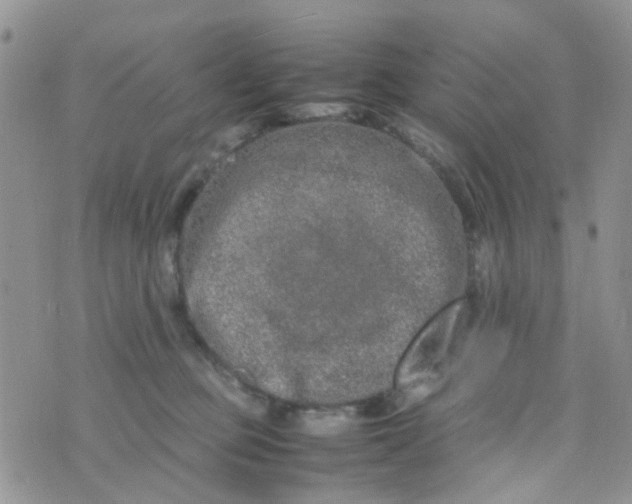 X0000074290373200609151923