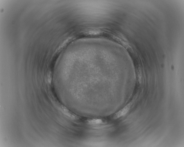 X0000074290374200609151923