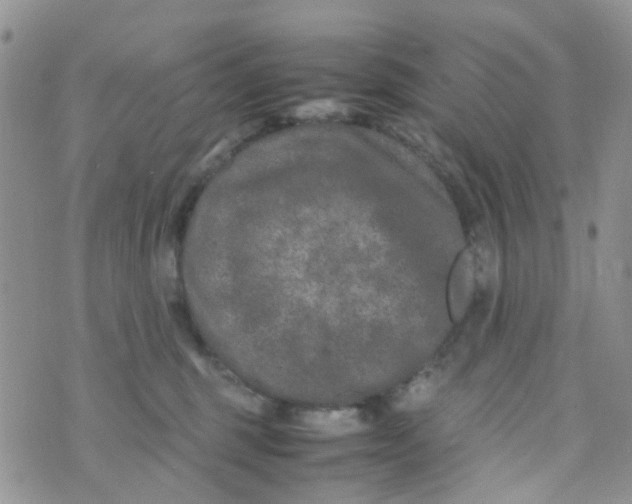 X0000074290375200609151923