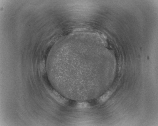 X0000074290376200609151923