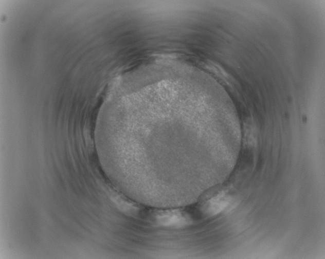 X0000074290377200609151923