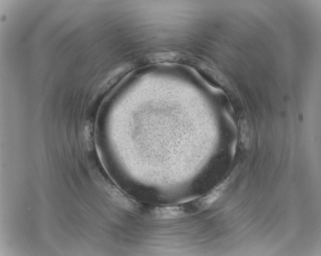 X0000074290378200609151923