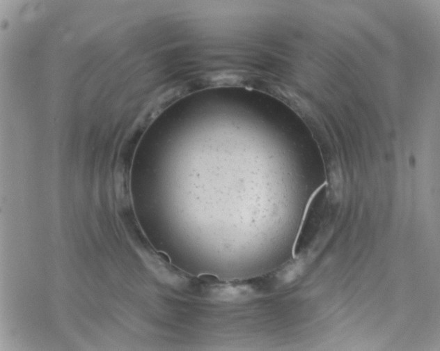 X0000074290379200609151923