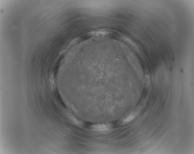 X0000074290381200609151923