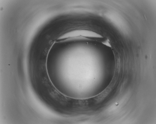 X0000074290383200609151923