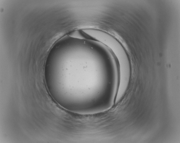 X0000074290385200609151922