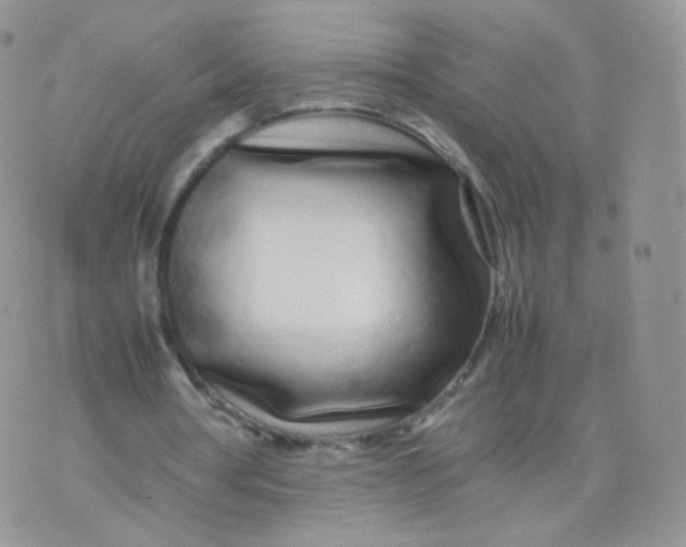 X0000074290386200609151922