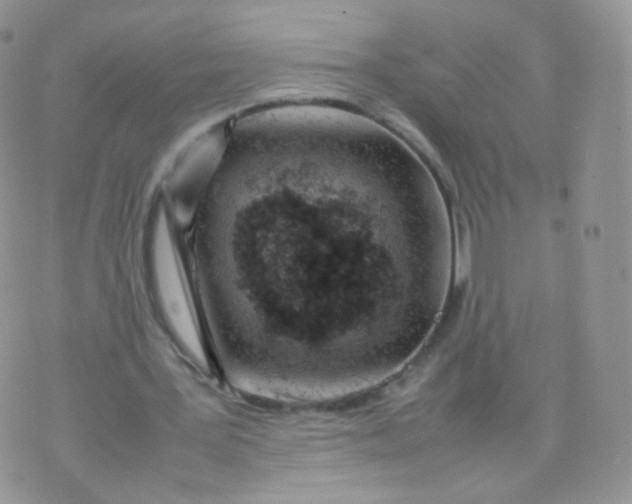 X0000074290387200609151922