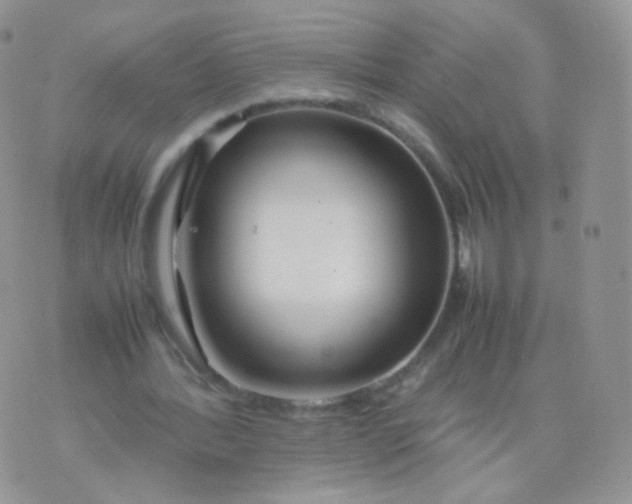 X0000074290388200609151922