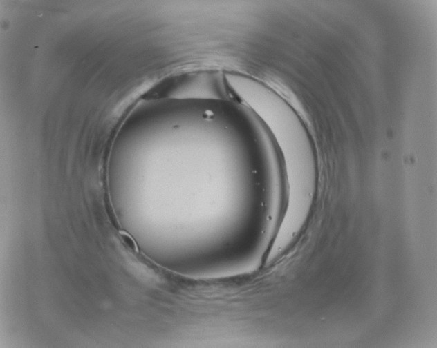 X0000074290389200609151922