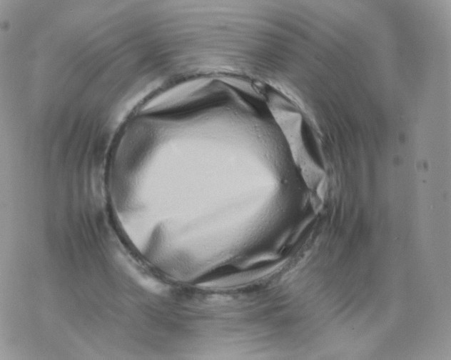 X0000074290390200609151922