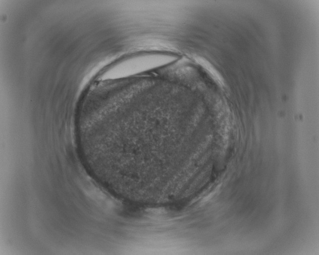 X0000074290391200609151922