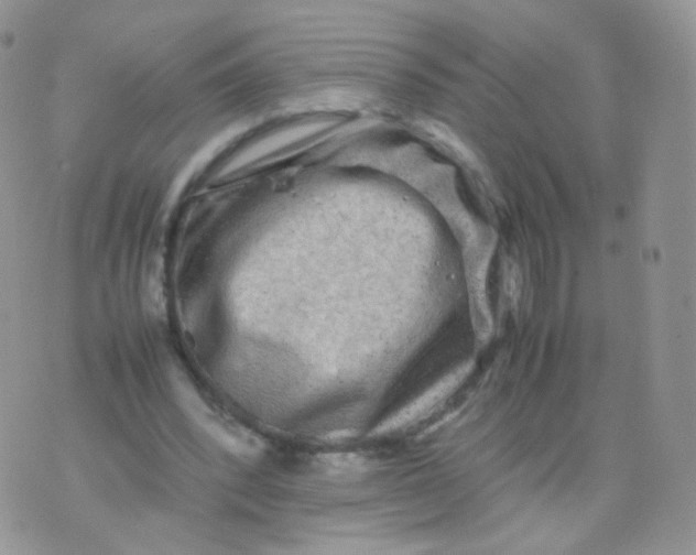 X0000074290392200609151922