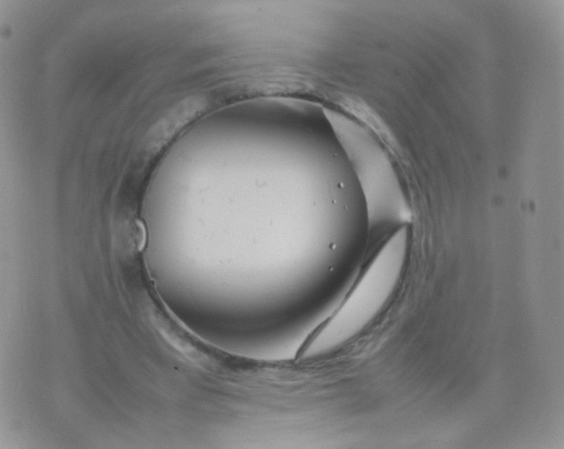 X0000074290393200609151922