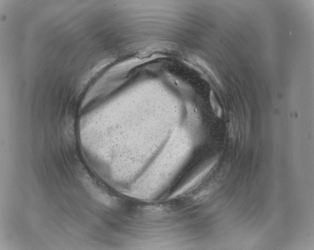 X0000074290394200609151922